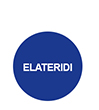insetticidi